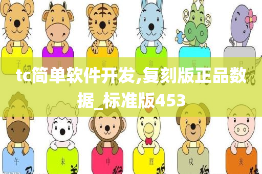 tc简单软件开发,复刻版正品数据_标准版453