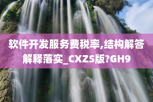 软件开发服务费税率,结构解答解释落实_CXZS版?GH9今晚必出三肖2025_2025新澳门精准免费提供·精确判断