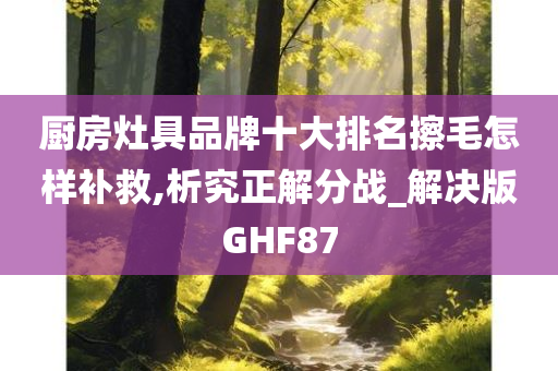 厨房灶具品牌十大排名擦毛怎样补救,析究正解分战_解决版GHF87