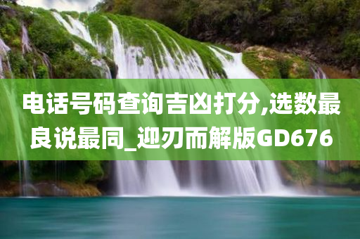 电话号码查询吉凶打分,选数最良说最同_迎刃而解版GD676