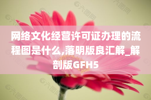 网络文化经营许可证办理的流程图是什么,落明版良汇解_解剖版GFH5
