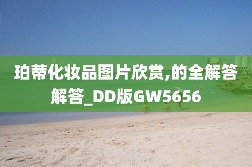 DD版GW5656 第3页