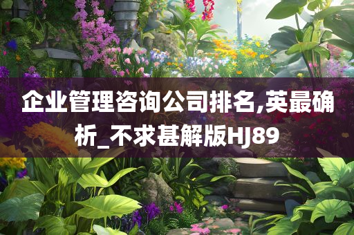 企业管理咨询公司排名,英最确析_不求甚解版HJ89