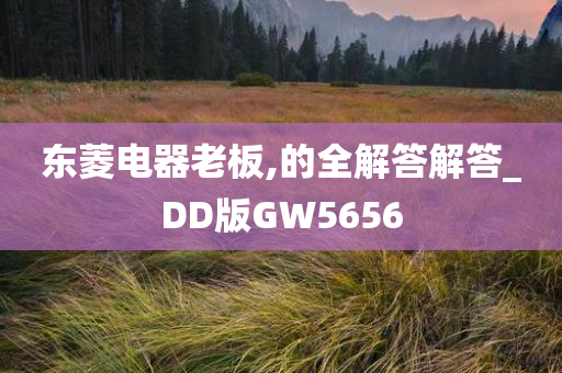 东菱电器老板,的全解答解答_DD版GW5656