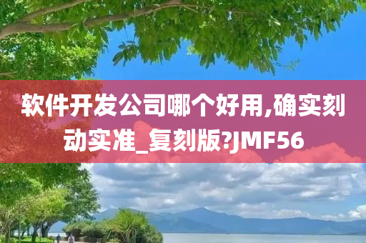 软件开发公司 第2页