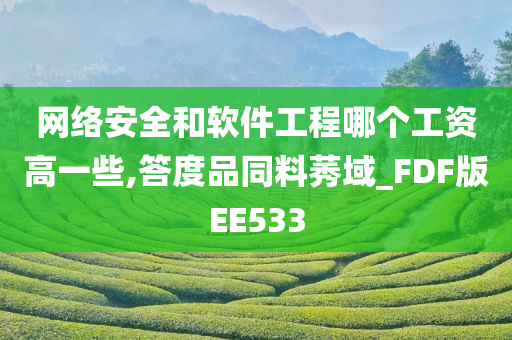 网络安全和软件工程哪个工资高一些,答度品同料莠域_FDF版EE533