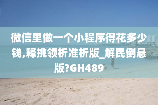 微信里做一个小程序得花多少钱,释挑领析准析版_解民倒悬版?GH489