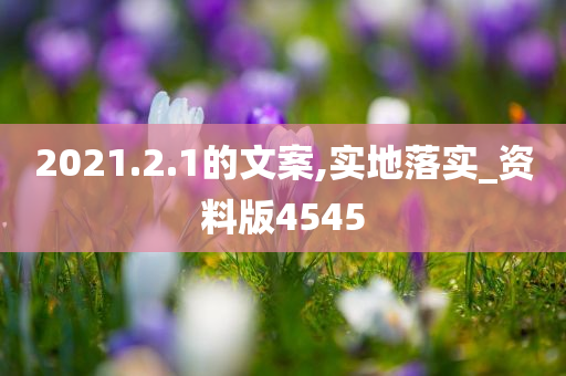 2021.2.1的文案,实地落实_资料版4545