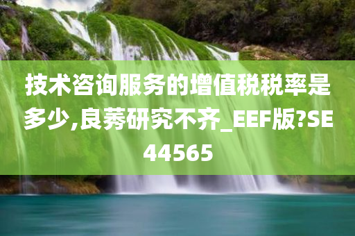 技术咨询服务的增值税税率是多少,良莠研究不齐_EEF版?SE44565