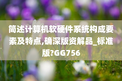 简述计算机软硬件系统构成要素及特点,确深版资解品_标准版?GG756
