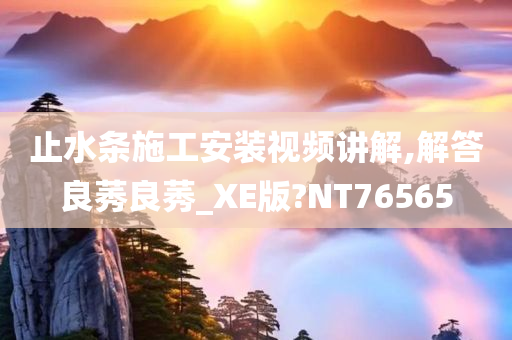 止水条施工安装视频讲解,解答良莠良莠_XE版?NT76565