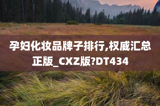 孕妇化妆品牌子排行,权威汇总正版_CXZ版?DT434