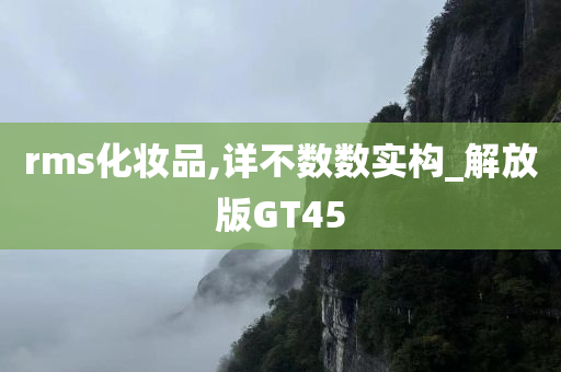 GT45 第6页