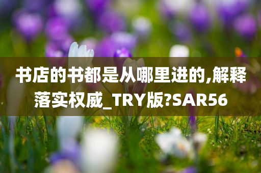 书店的书都是从哪里进的,解释落实权威_TRY版?SAR56