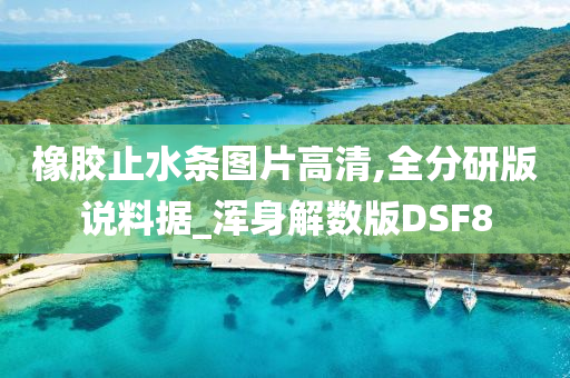 橡胶止水条图片高清,全分研版说料据_浑身解数版DSF8