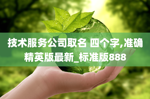 技术服务公司取名 四个字,准确精英版最新_标准版888