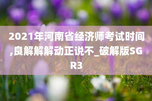 2021年河南省经济师考试时间,良解解解动正说不_破解版SGR3