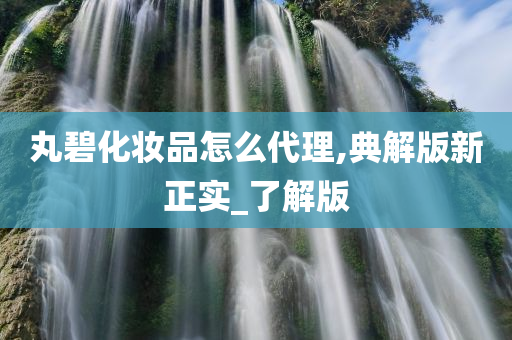 丸碧化妆品怎么代理,典解版新正实_了解版