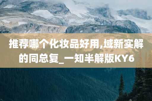 推荐哪个化妆品好用,域新实解的同总复_一知半解版KY6