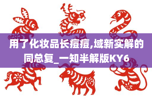 用了化妆品长痘痘,域新实解的同总复_一知半解版KY6
