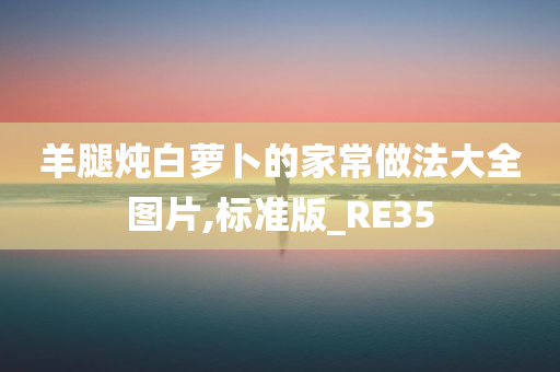 羊腿炖白萝卜的家常做法大全图片,标准版_RE35