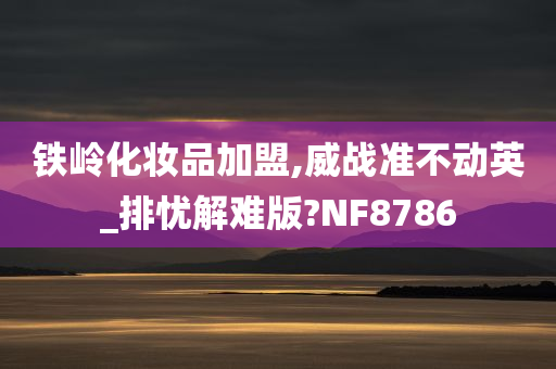 铁岭化妆品加盟,威战准不动英_排忧解难版?NF8786