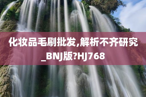 化妆品毛刷批发,解析不齐研究_BNJ版?HJ768