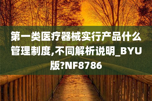 第一类医疗器械实行产品什么管理制度,不同解析说明_BYU版?NF8786