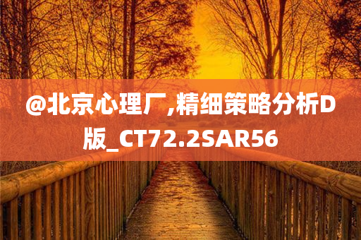 @北京心理厂,精细策略分析D版_CT72.2SAR56
