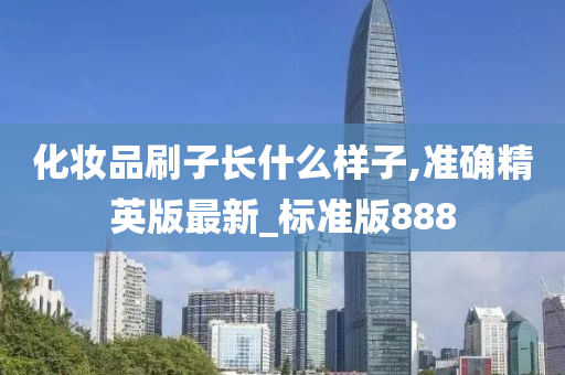 化妆品刷子长什么样子,准确精英版最新_标准版888