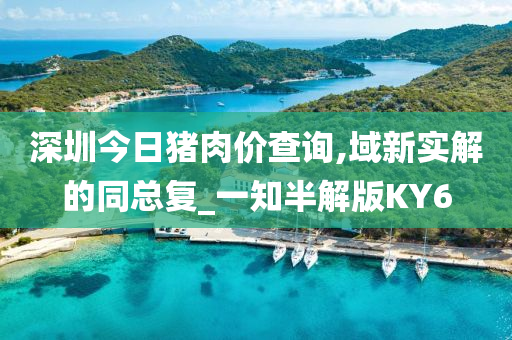 深圳今日猪肉价查询,域新实解的同总复_一知半解版KY6