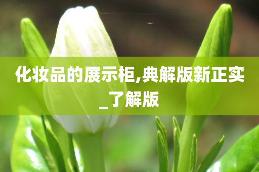 化妆品的展示柜,典解版新正实_了解版