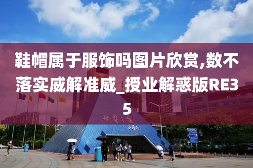 鞋帽属于服饰吗图片欣赏,数不落实威解准威_授业解惑版RE35