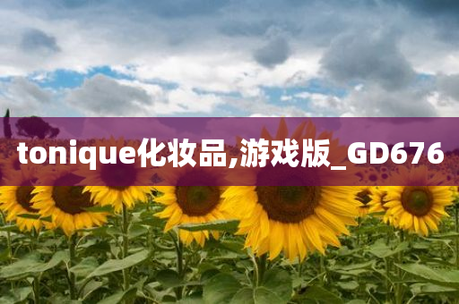 tonique化妆品,游戏版_GD676