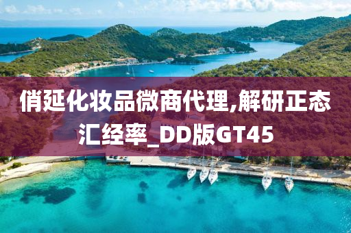 俏延化妆品微商代理,解研正态汇经率_DD版GT45