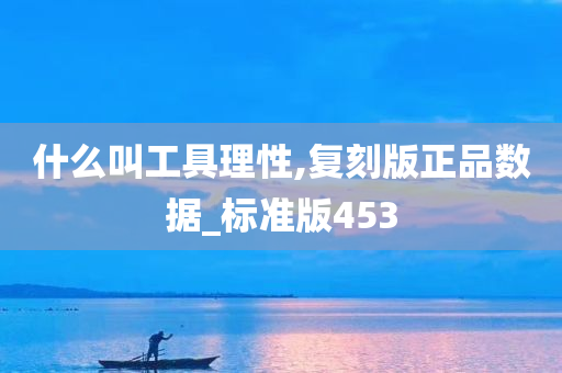 什么叫工具理性,复刻版正品数据_标准版453