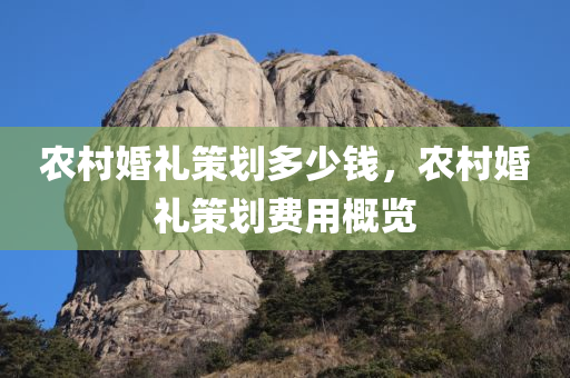农村婚礼策划多少钱，农村婚礼策划费用概览