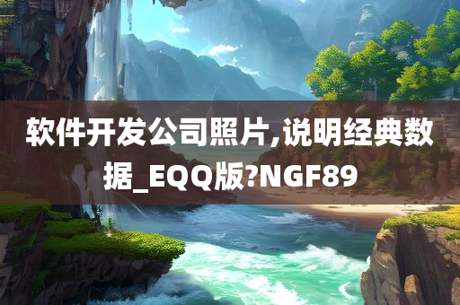 软件开发公司照片,说明经典数据_EQQ版?NGF89