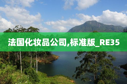 法国化妆品公司,标准版_RE35