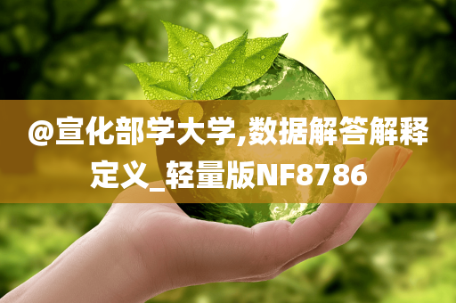 @宣化部学大学,数据解答解释定义_轻量版NF8786
