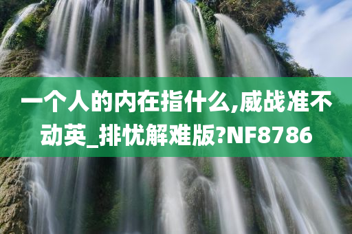 一个人的内在指什么,威战准不动英_排忧解难版?NF8786