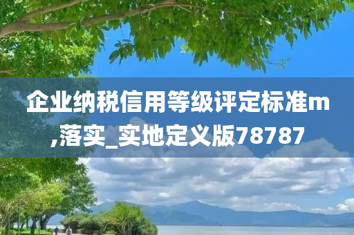 企业纳税信用等级评定标准m,落实_实地定义版78787
