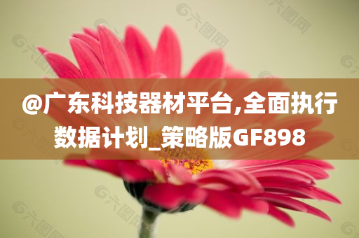 @广东科技器材平台,全面执行数据计划_策略版GF898