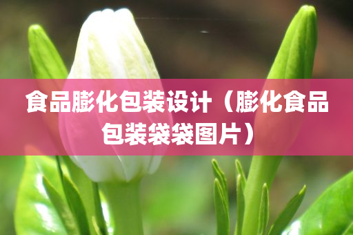 食品膨化包装设计（膨化食品包装袋袋图片）