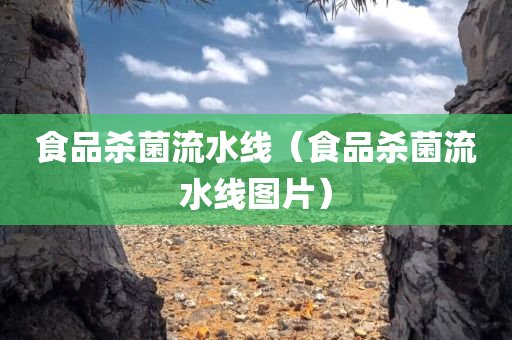 食品杀菌流水线（食品杀菌流水线图片）