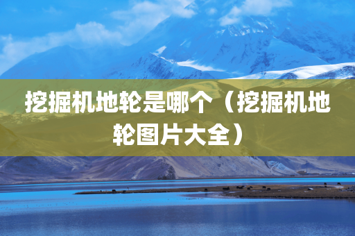 挖掘机地轮是哪个（挖掘机地轮图片大全）