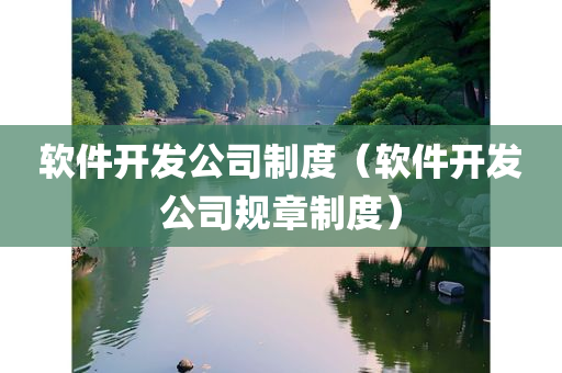 软件开发公司制度（软件开发公司规章制度）