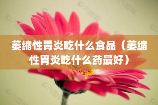 萎缩性胃炎吃什么食品（萎缩性胃炎吃什么药最好）