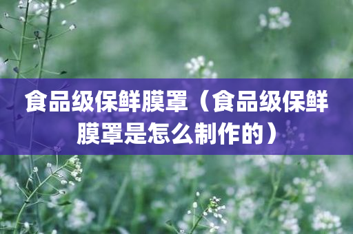 食品级保鲜膜罩（食品级保鲜膜罩是怎么制作的）