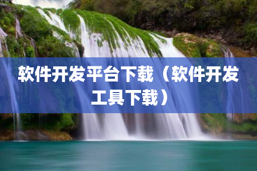 软件开发平台下载（软件开发工具下载）